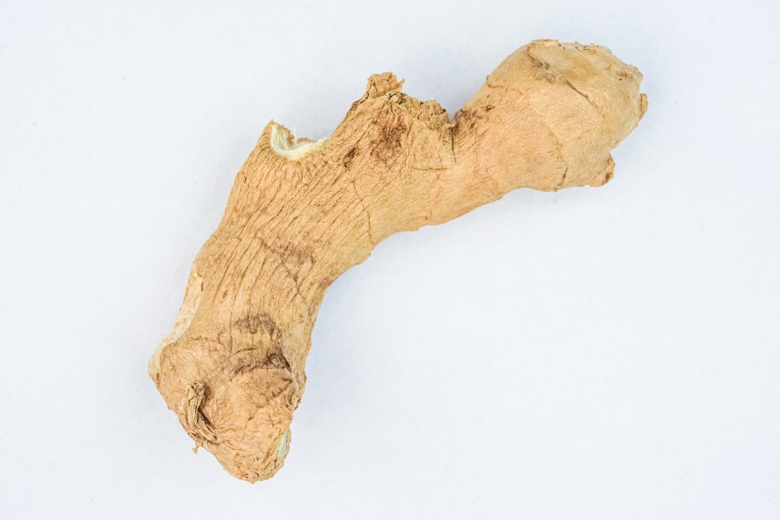 Ein einzelnes St&uuml;ck getrockneter Ingwerwurzel mit einer rauen, strukturierten Oberfl&auml;che, dargestellt auf einem schlichten wei&szlig;en Hintergrund - unter Gew&uuml;rzen gesch&auml;tzt und als nat&uuml;rliches Heilmittel gesch&auml;tzt.