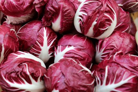 Eine Nahaufnahme mehrerer K&ouml;pfe von Radicchio, die ihre tief rot-violetten Bl&auml;tter mit auff&auml;lligen wei&szlig;en Adern zeigen. Zusammengepackt zeigen sie eine leuchtende Farbe und eine knackige Textur - perfekt f&uuml;r eine gesunde Ern&auml;hrung und einen Energieschub im Winter.