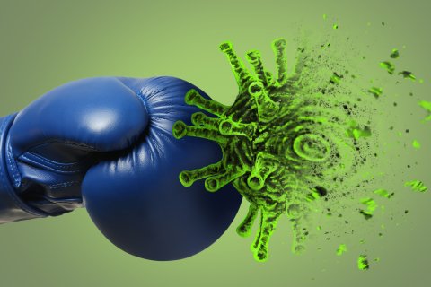 Ein blauer Boxhandschuh schl&auml;gt auf ein gr&uuml;nes virus&auml;hnliches Gebilde vor gr&uuml;nem Hintergrund ein und zertr&uuml;mmert es. Dies symbolisiert den Kampf gegen die Krankheit und veranschaulicht das Impfprinzip und wie eine Impfung funktioniert.