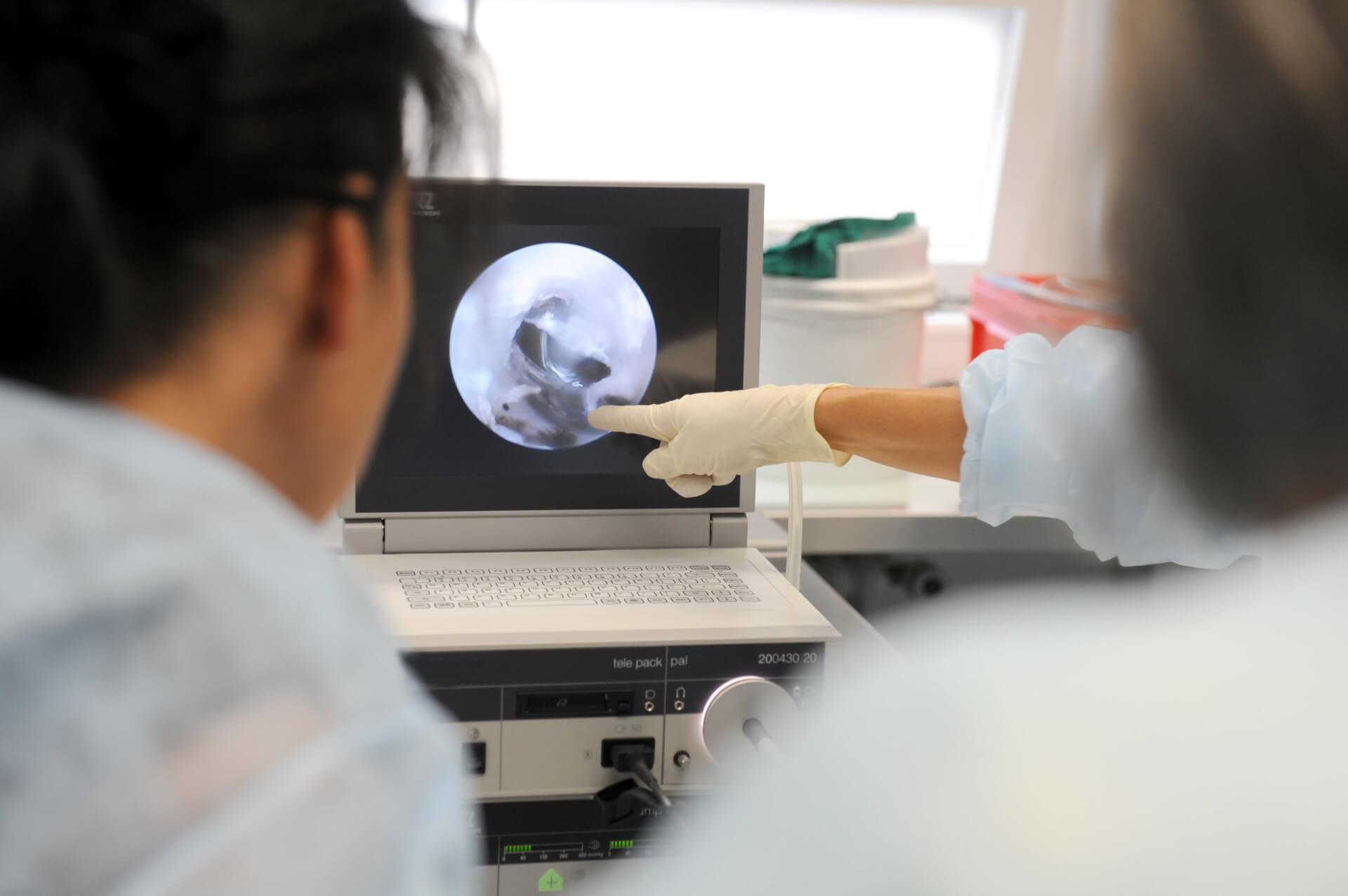 Zwei medizinische Fachkr&auml;fte betrachten einen Monitor, auf dem ein medizinischer Scan in Schwarz-Wei&szlig; angezeigt wird, w&auml;hrend eine Person auf den Bildschirm zeigt und damit eine Diskussion oder Diagnose andeutet. Im Hintergrund sind medizinische Ger&auml;te und Beh&auml;lter zu sehen.