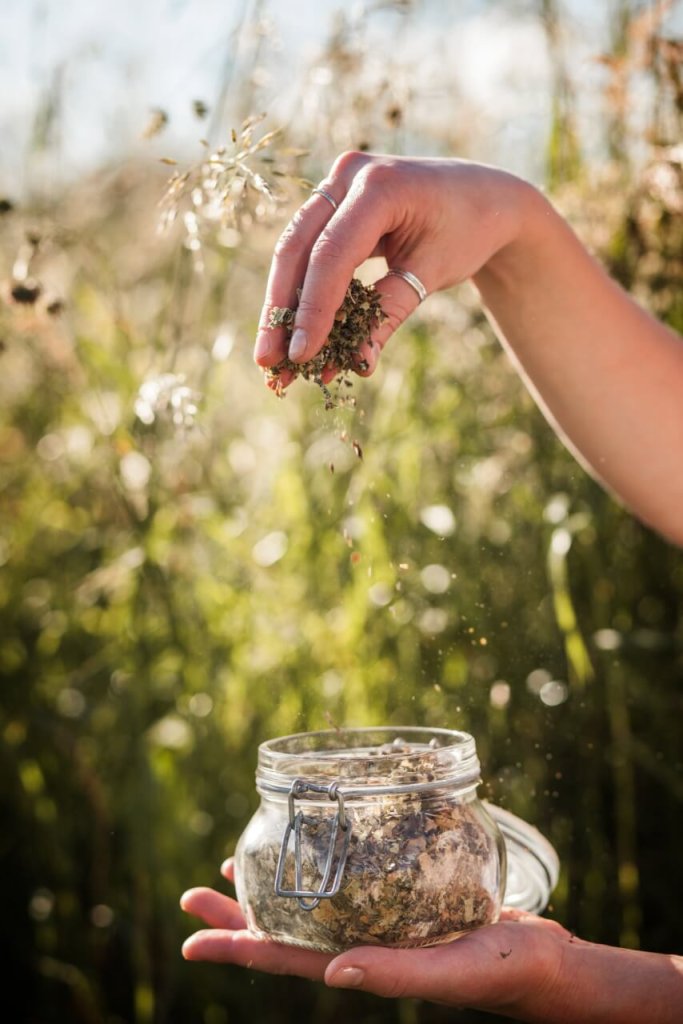 Eine Hand streut getrocknete Kräuter in ein Glasgefäß, das sie in der anderen hält. Der Hintergrund ist unscharf und zeigt hohes Gartengras und Wildblumen im natürlichen Sonnenlicht.